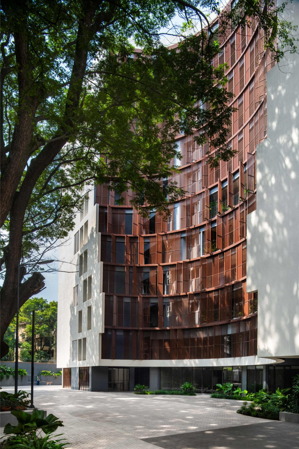 Homes Around Trees design by ArchitectureRED